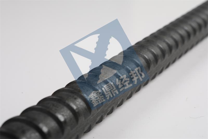 2W7A4495鏇夎粛鐝嶅扯.jpg
